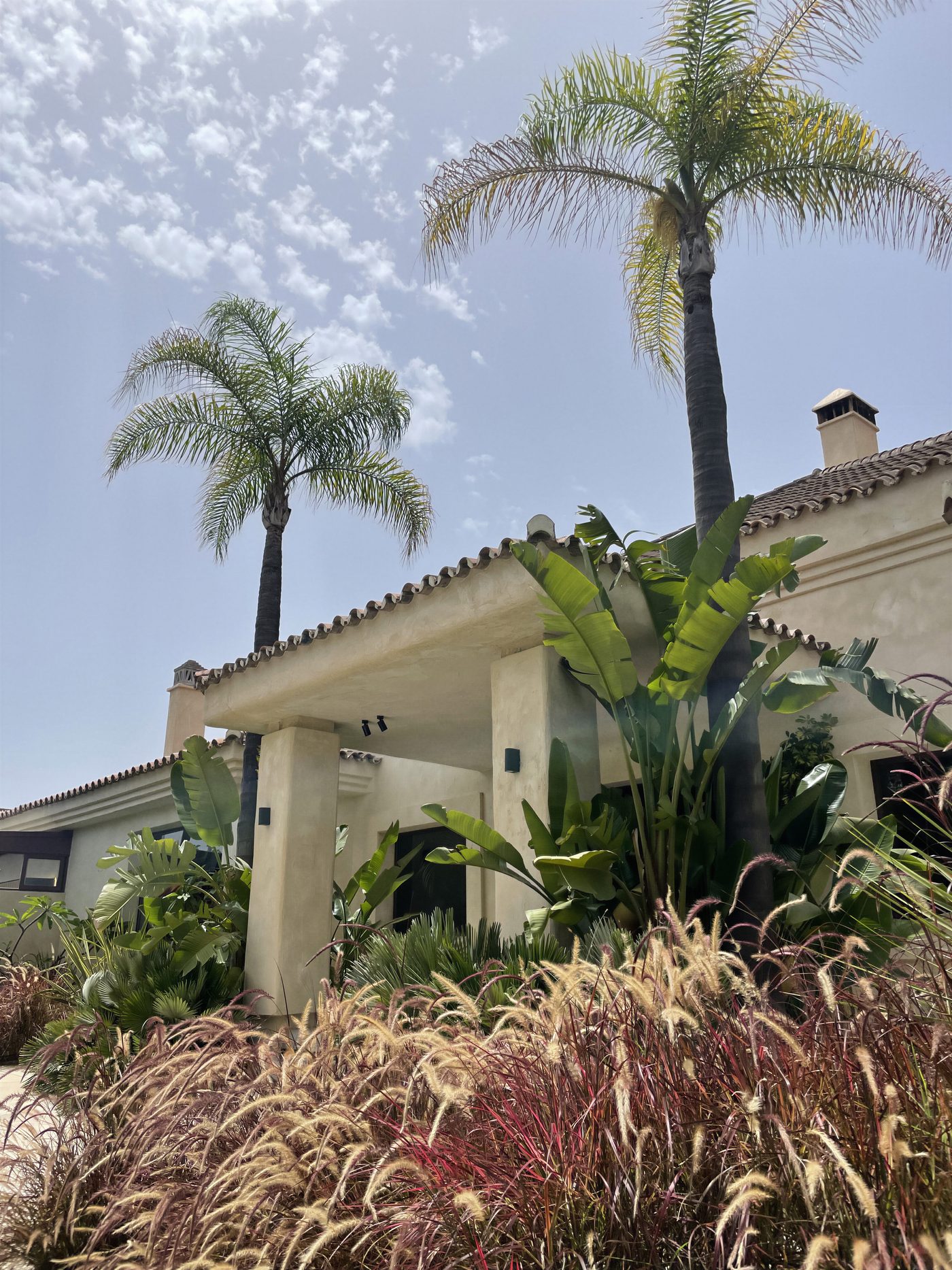 Casa club de NAC de estilo andaluz, con cubierta de teja, palmeras y jardín de gramíneas