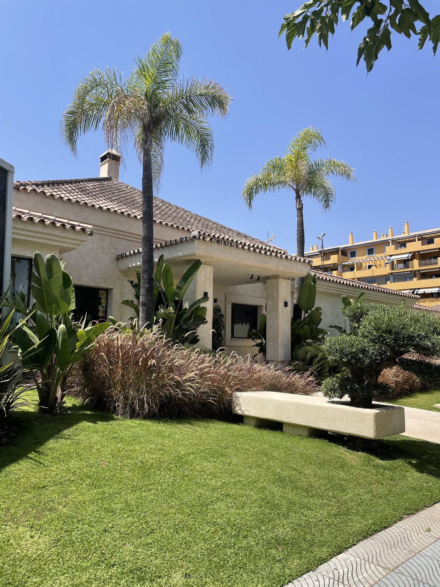 Fachada de la casa club de NAC con palmeras, césped, banco de obra y olivo