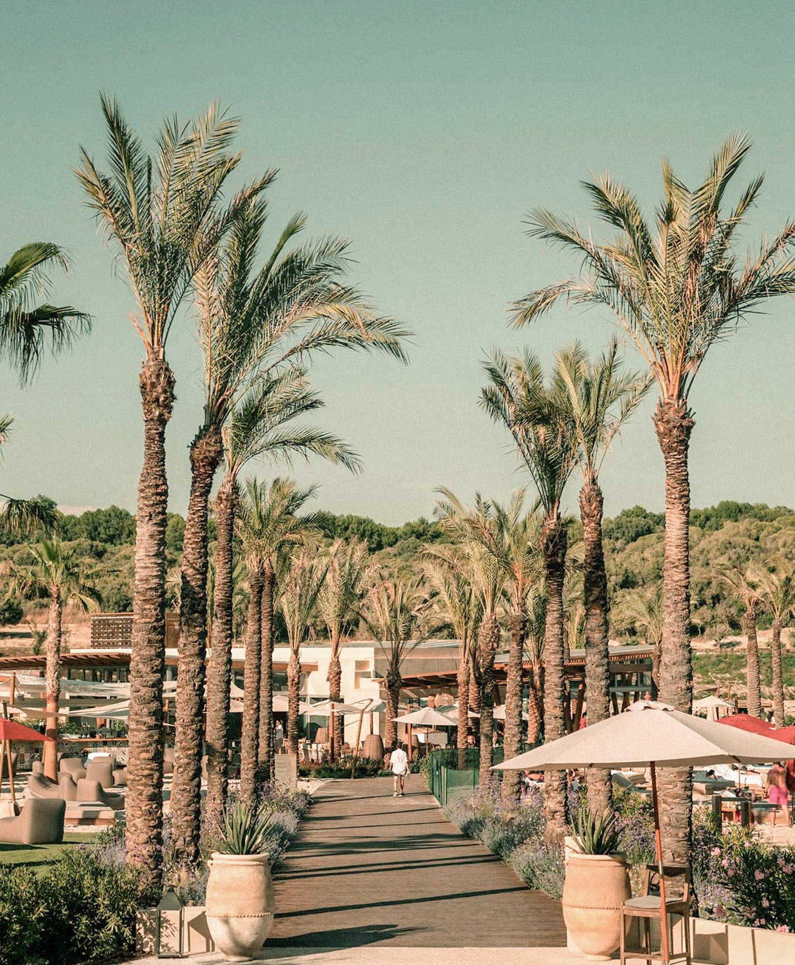 La Reserva Beach — beach club en Sotogrande · Archidom Studio — imagen 15