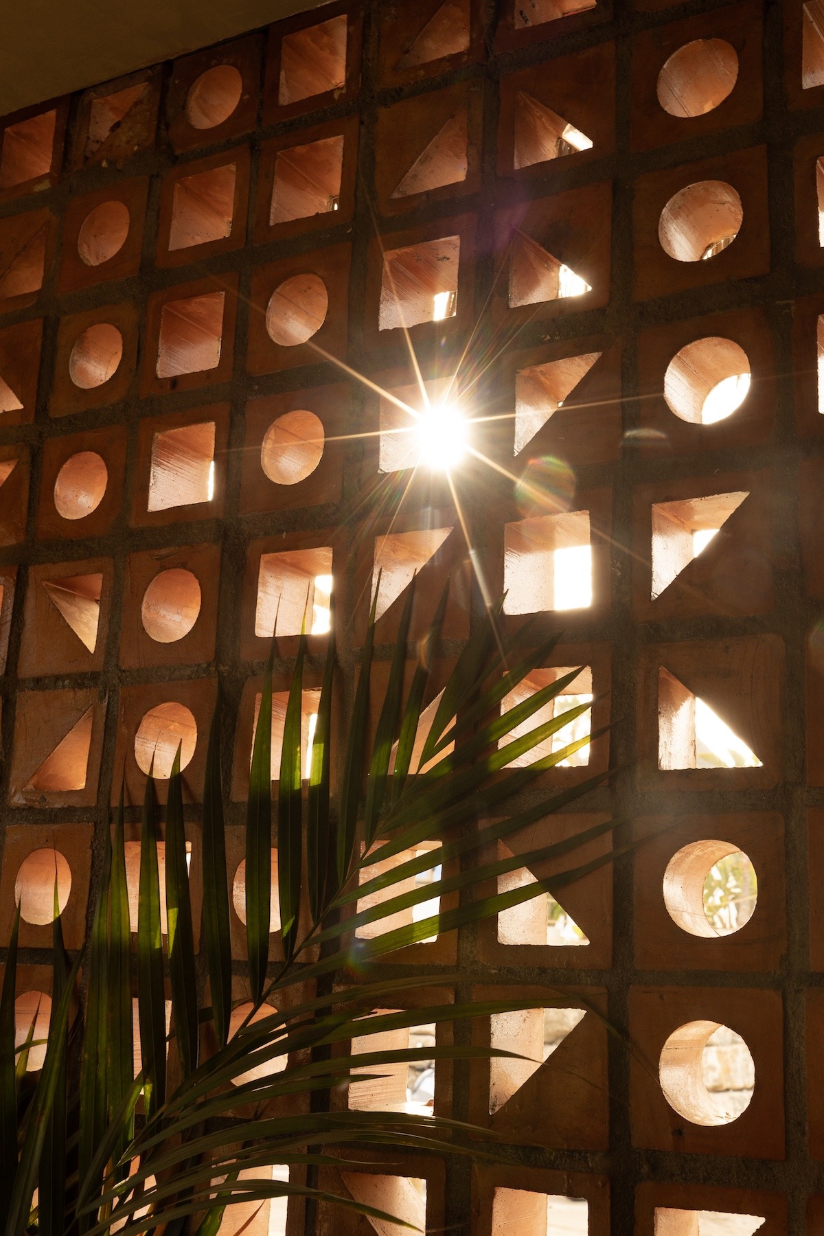 Beach Club Los Tonys — beach club en Marbella · Archidom Studio — imagen 4
