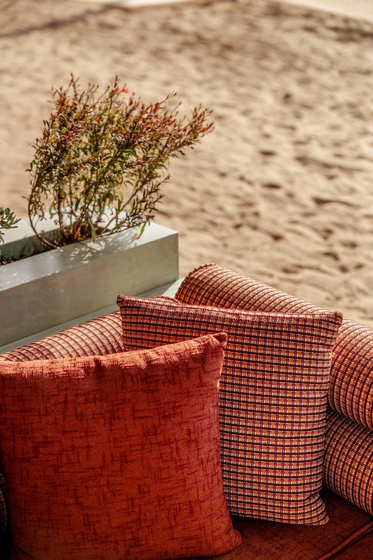Beach Club Los Tonys — beach club en Marbella · Archidom Studio — imagen 5