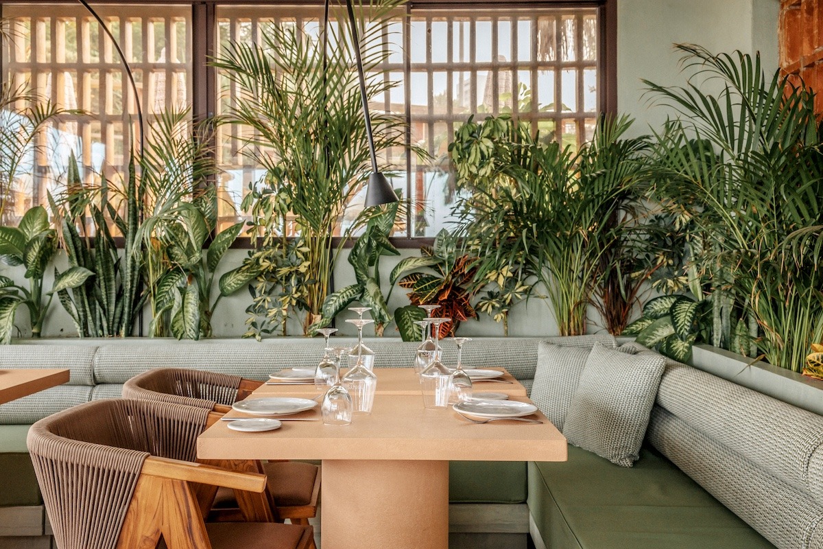 Beach Club Los Tonys — beach club en Marbella · Archidom Studio — imagen 6