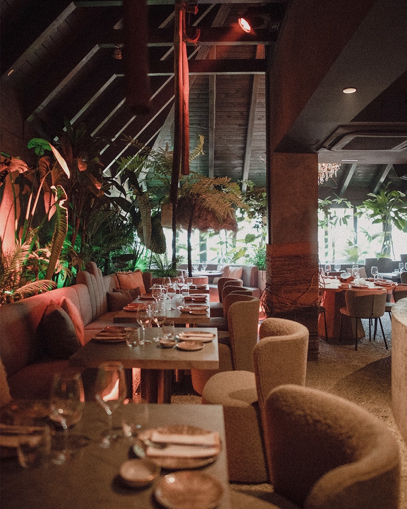 Mogli — restaurant in Nueva Andalucía · Archidom Studio — image 5