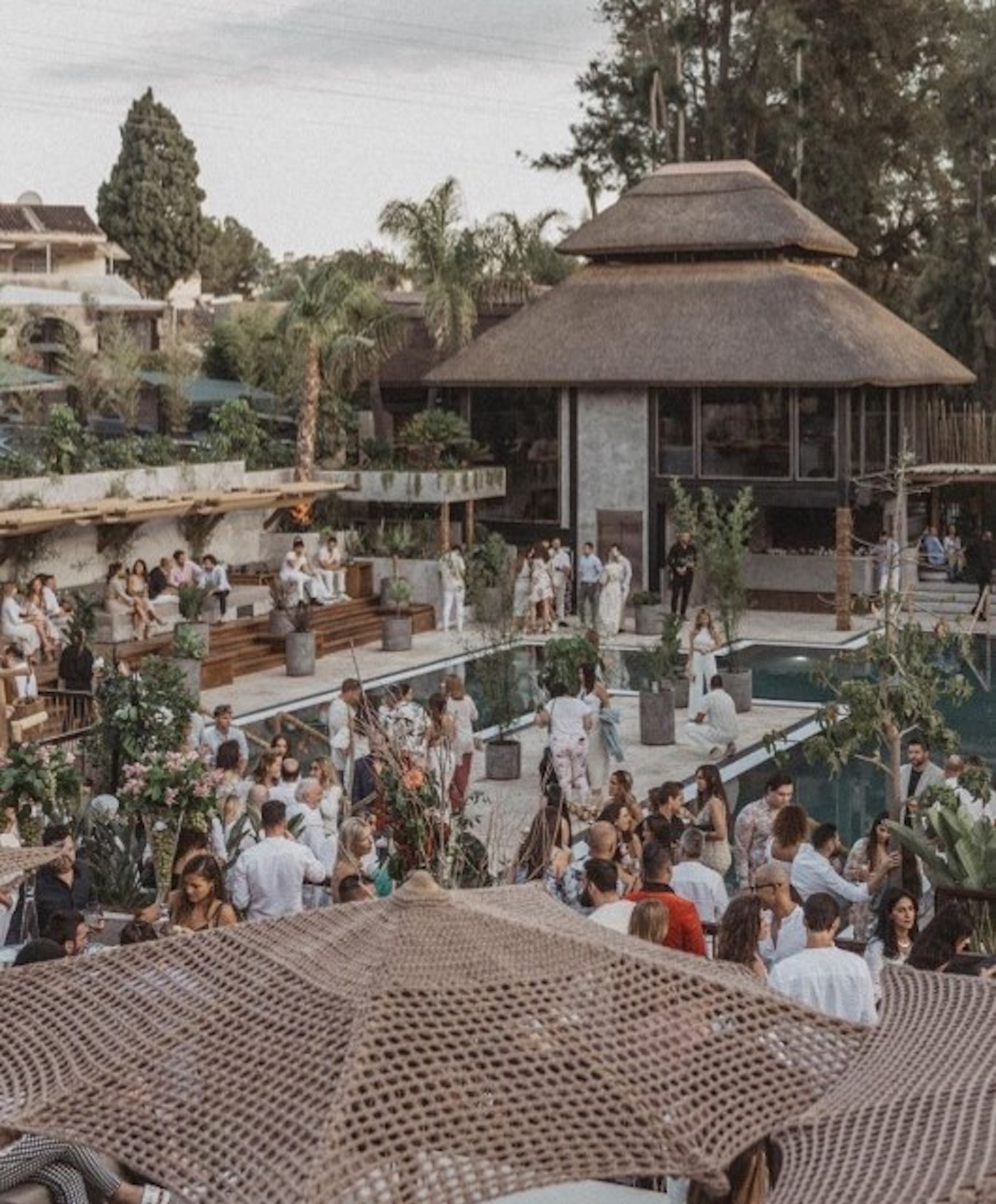 Mogli — restaurant in Nueva Andalucía · Archidom Studio — image 6