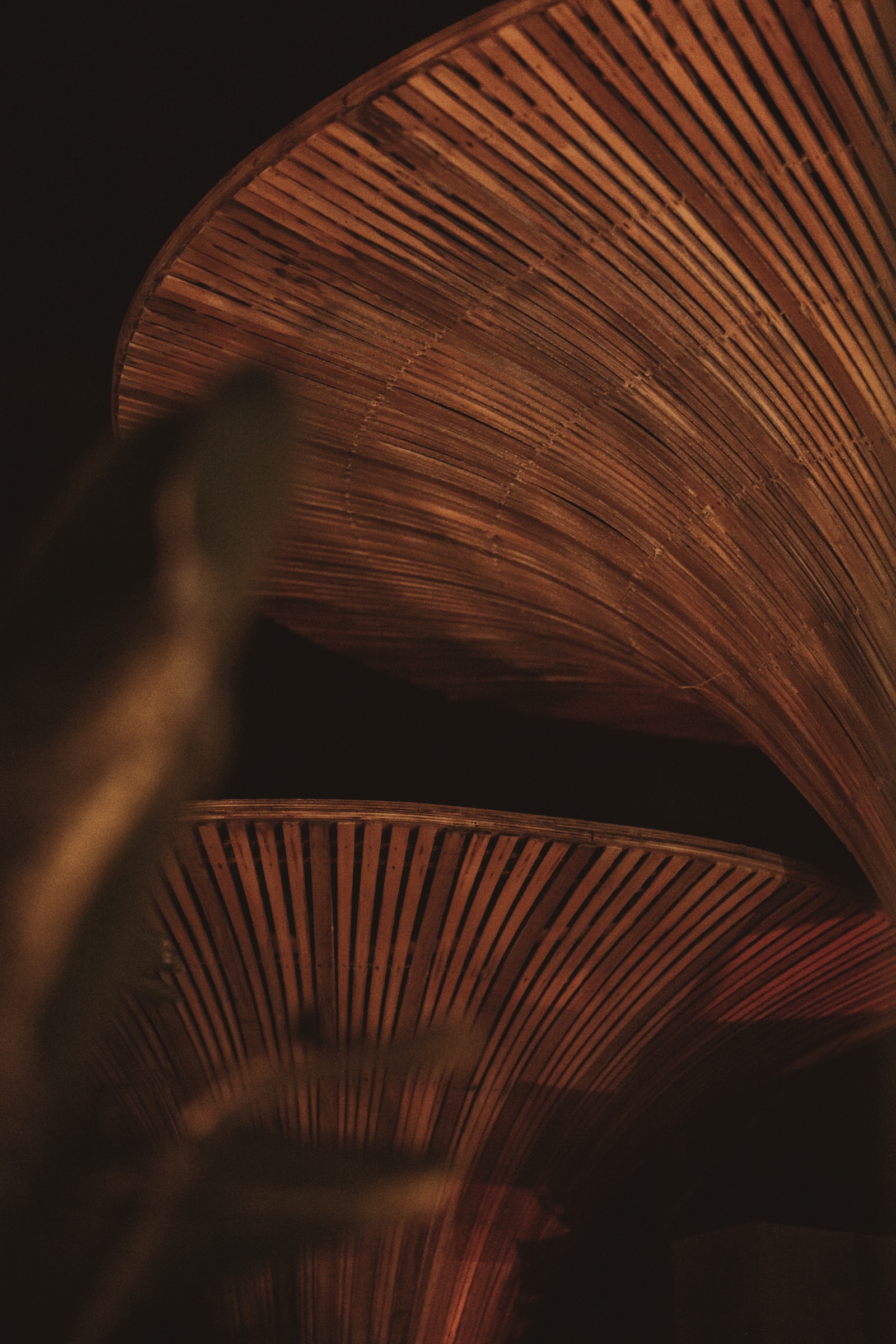 Momento — night club en Marbella · Archidom Studio — imagen 9