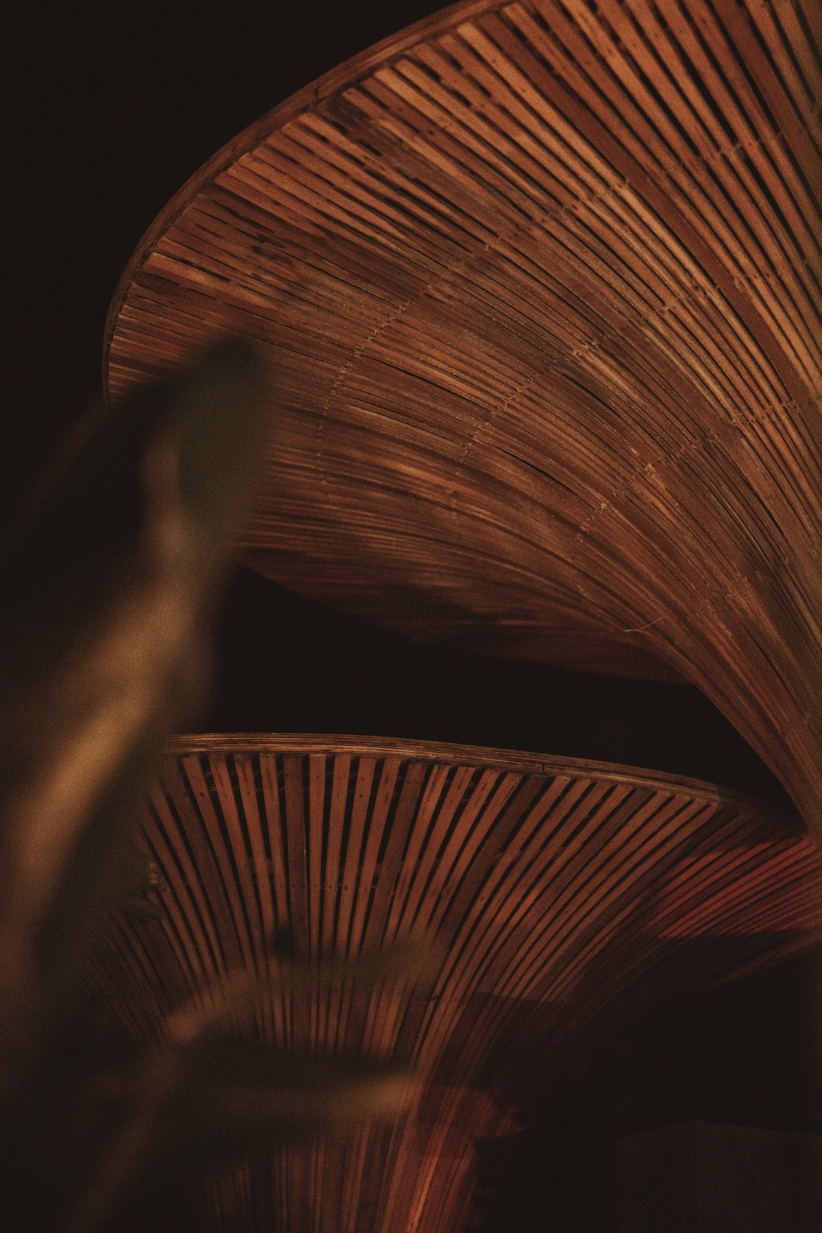 Archidom Studio_MOMENTO CLUB_10_Nigth club luxury Marbella