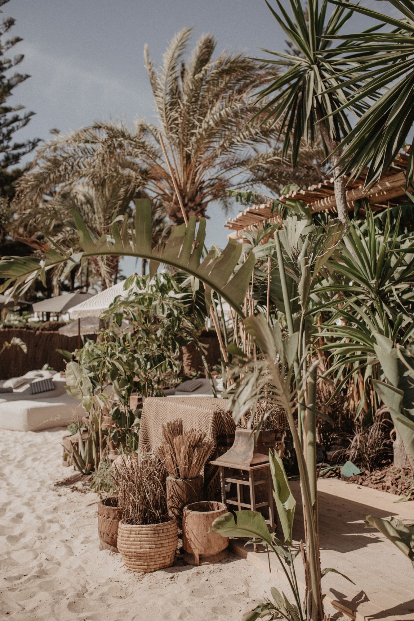 Archidom-Studio_beach_club_marbella_ammo_3